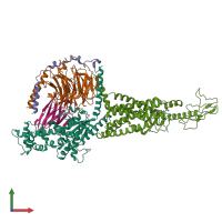 PDB entry 6x1a coloured by chain, front view.