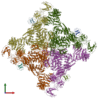 PDB entry 6x34 coloured by chain, front view.