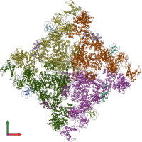 PDB entry 6x35 coloured by chain, front view.