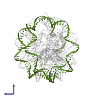 DNA (natural) in PDB entry 6x5a, assembly 1, side view.