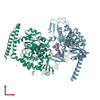 PDB entry 6x5s coloured by chain, front view.