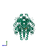 Homo dimeric assembly 1 of PDB entry 6x5t coloured by chemically distinct molecules, side view.
