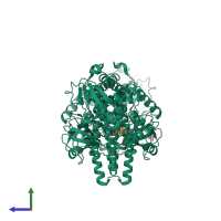 Homo dimeric assembly 3 of PDB entry 6x5t coloured by chemically distinct molecules, side view.