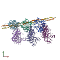 PDB entry 6x5z coloured by chain, front view.