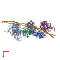 PDB entry 6x5z coloured by chain, top view.