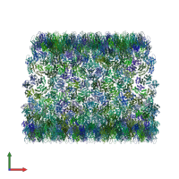 PDB entry 6x63 coloured by chain, front view.