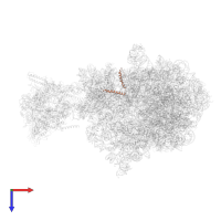 Small ribosomal subunit protein bS21 in PDB entry 6x7f, assembly 1, top view.