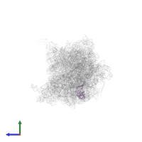 Small ribosomal subunit protein uS2 in PDB entry 6x7k, assembly 1, side view.