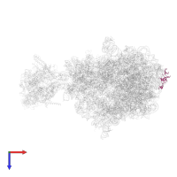 Large ribosomal subunit protein uL24 in PDB entry 6x7k, assembly 1, top view.