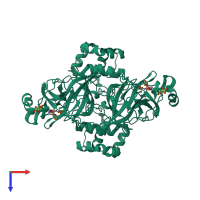 Hetero tetrameric assembly 1 of PDB entry 6xbh coloured by chemically distinct molecules, top view.