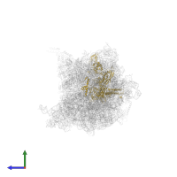 DNA-directed RNA polymerase subunit beta in PDB entry 6xdq, assembly 1, side view.