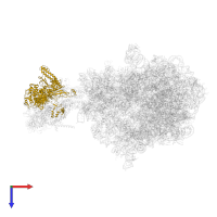 DNA-directed RNA polymerase subunit beta in PDB entry 6xdq, assembly 1, top view.