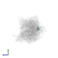 Small ribosomal subunit protein uS9 in PDB entry 6xdq, assembly 1, side view.