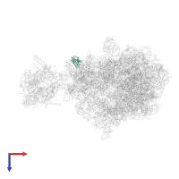 Small ribosomal subunit protein uS9 in PDB entry 6xdq, assembly 1, top view.