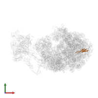 Large ribosomal subunit protein uL22 in PDB entry 6xdq, assembly 1, front view.