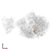 Large ribosomal subunit protein uL2 in PDB entry 6xdr, assembly 1, front view.