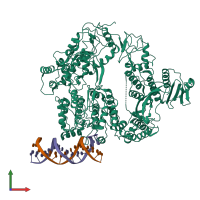 PDB entry 6xeo coloured by chain, front view.