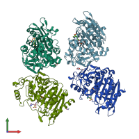 PDB entry 6xfs coloured by chain, front view.