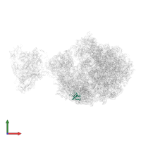 Small ribosomal subunit protein bS16 in PDB entry 6xgf, assembly 1, front view.