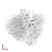 Modified residue PSU in PDB entry 6xhv, assembly 2, front view.