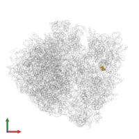 Modified residue 2MG in PDB entry 6xhw, assembly 2, front view.