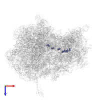 Modified residue 5MC in PDB entry 6xhw, assembly 2, top view.