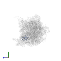 Small ribosomal subunit protein uS4 in PDB entry 6xii, assembly 1, side view.