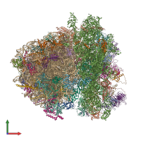 PDB entry 6xir coloured by chain, front view.