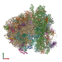 PDB entry 6xir coloured by chain, front view.