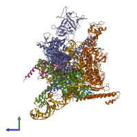 PDB entry 6xll coloured by chain, side view.