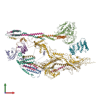 PDB entry 6xp5 coloured by chain, front view.