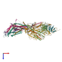 PDB entry 6xp5 coloured by chain, top view.