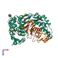 PDB entry 6xpb coloured by chain, top view.