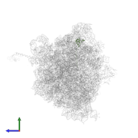 Large ribosomal subunit protein bL27 in PDB entry 6xqd, assembly 2, side view.