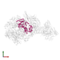 DNA replication licensing factor MCM5 in PDB entry 6xty, assembly 1, front view.