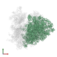 28S ribosomal RNA in PDB entry 6xu6, assembly 1, front view.