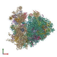 PDB entry 6xu7 coloured by chain, front view.