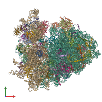 PDB entry 6xu7 coloured by chain, front view.