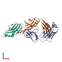 PDB entry 6xy2 coloured by chain, front view.