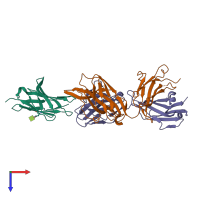 PDB entry 6xy2 coloured by chain, top view.