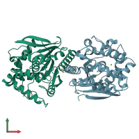 PDB entry 6xy9 coloured by chain, front view.
