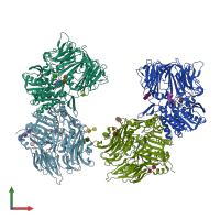 PDB entry 6y0f coloured by chain, front view.