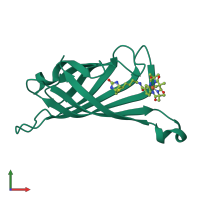 PDB entry 6y25 coloured by chain, front view.