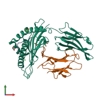 PDB entry 6y26 coloured by chain, front view.