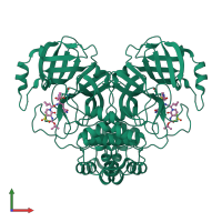 Homo dimeric assembly 1 of PDB entry 6y2f coloured by chemically distinct molecules, front view.