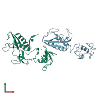 PDB entry 6y2x coloured by chain, front view.