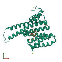 PDB entry 6y3r coloured by chain, front view.