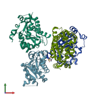 PDB entry 6y4z coloured by chain, front view.