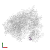 Small ribosomal subunit protein eS25 in PDB entry 6y57, assembly 1, front view.