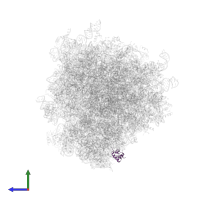Small ribosomal subunit protein eS25 in PDB entry 6y57, assembly 1, side view.